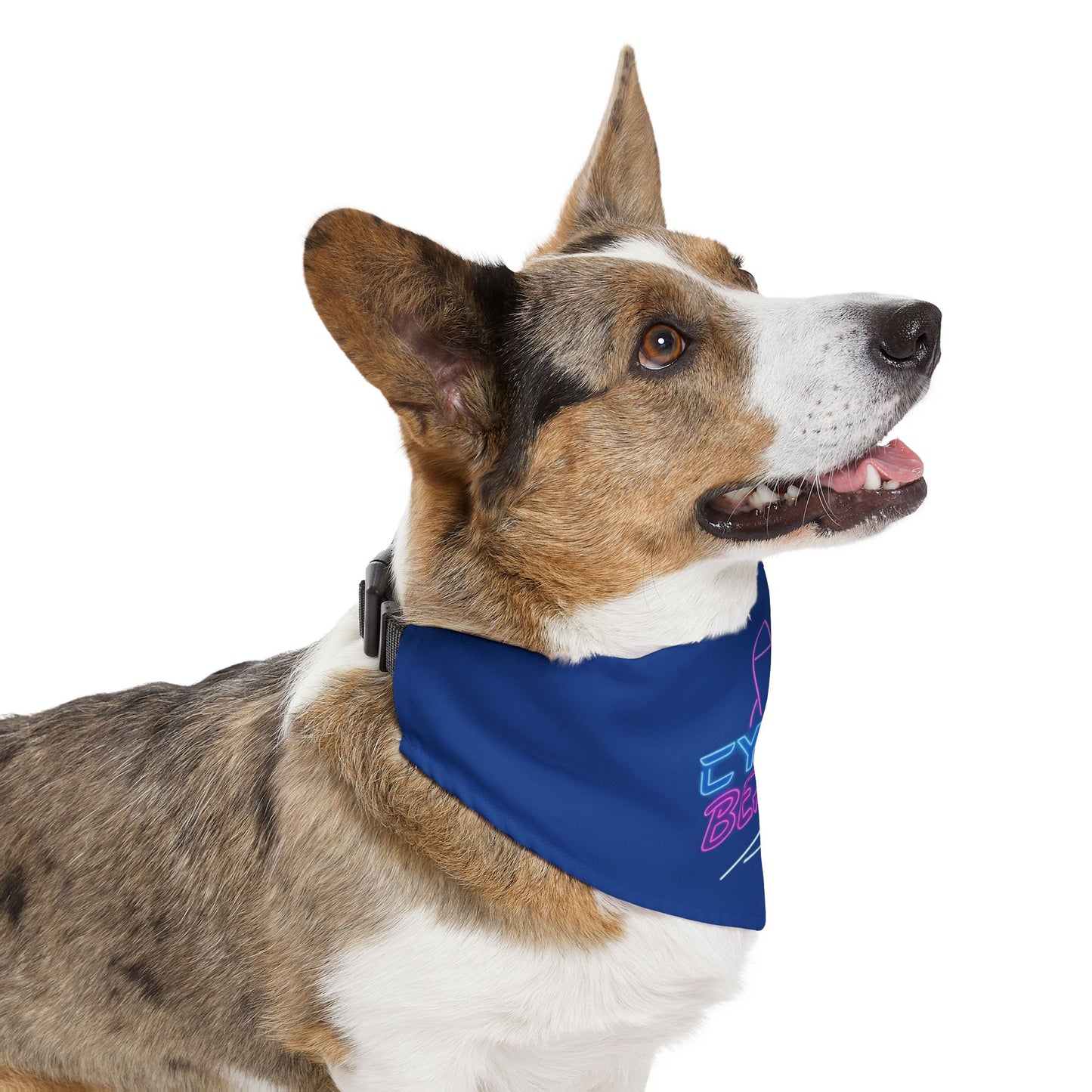 CB07BE - Cyber Beach Pet Bandana Collar (Blue)