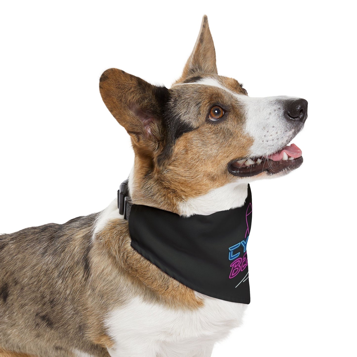 CB07BK - Cyber Beach Pet Bandana Collar (Black)