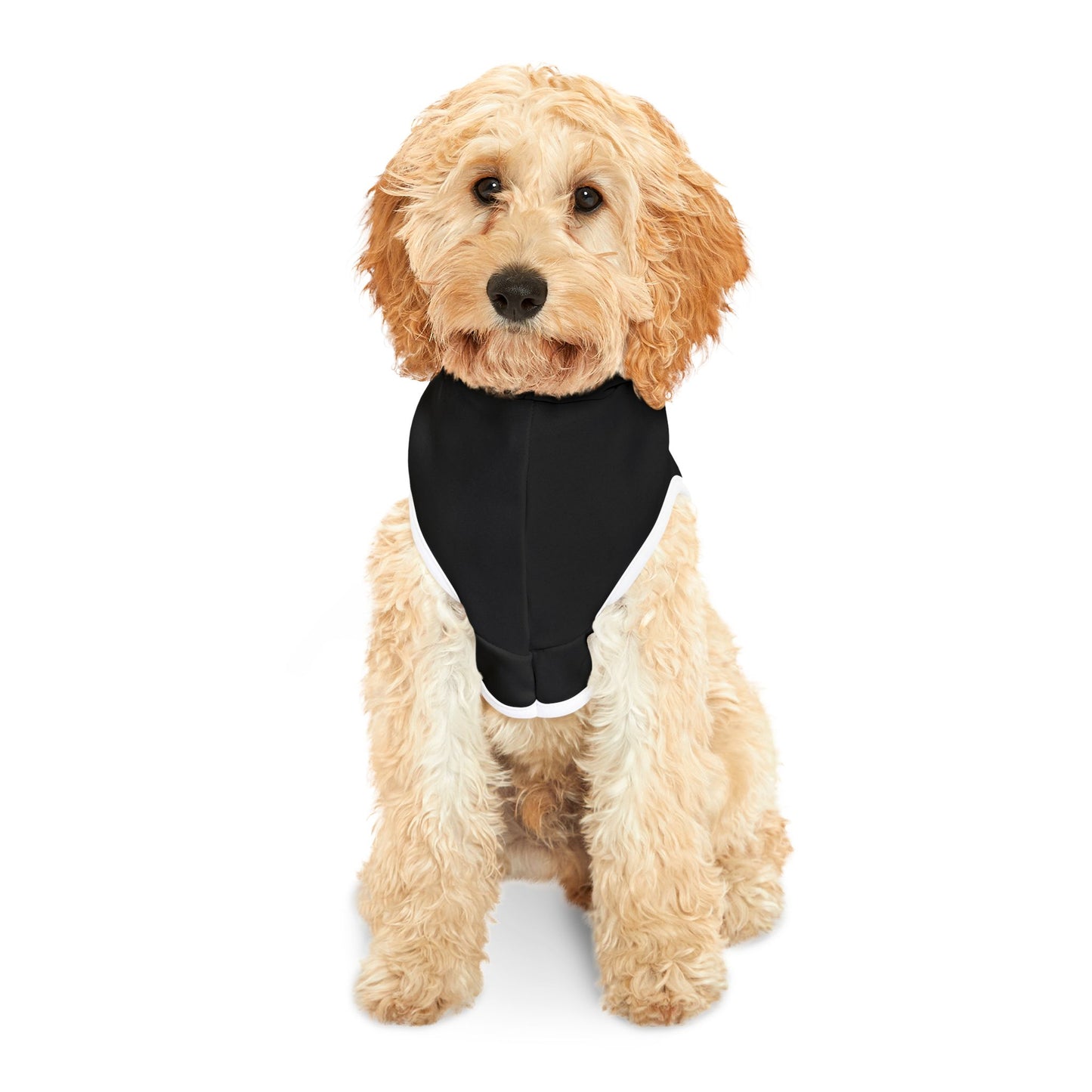 CB04BKOG - Cyber Beach Pet Hoodie (Black w/ Orange/Green Logo)