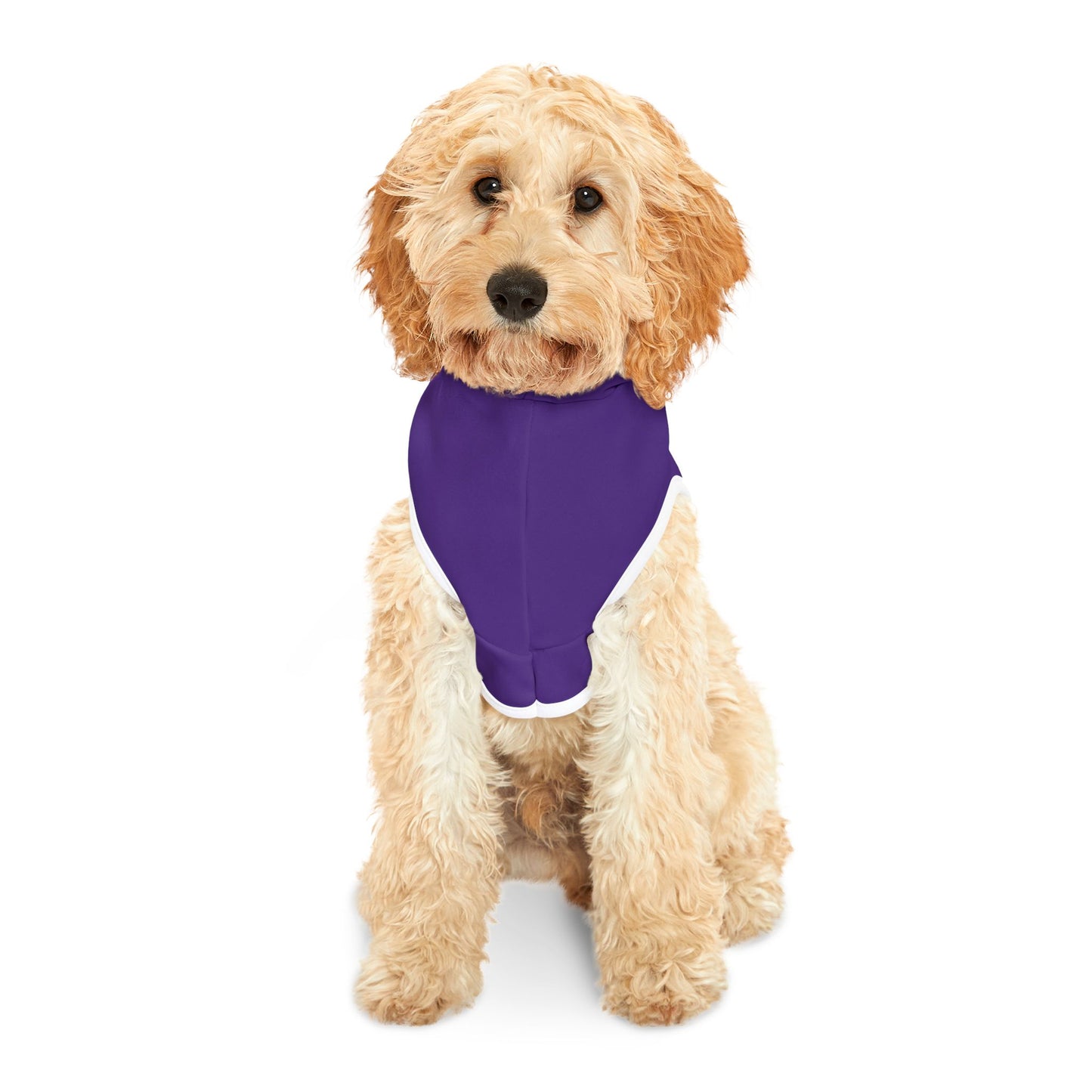 CB04PE - Cyber Beach Pet Hoodie (Purple)