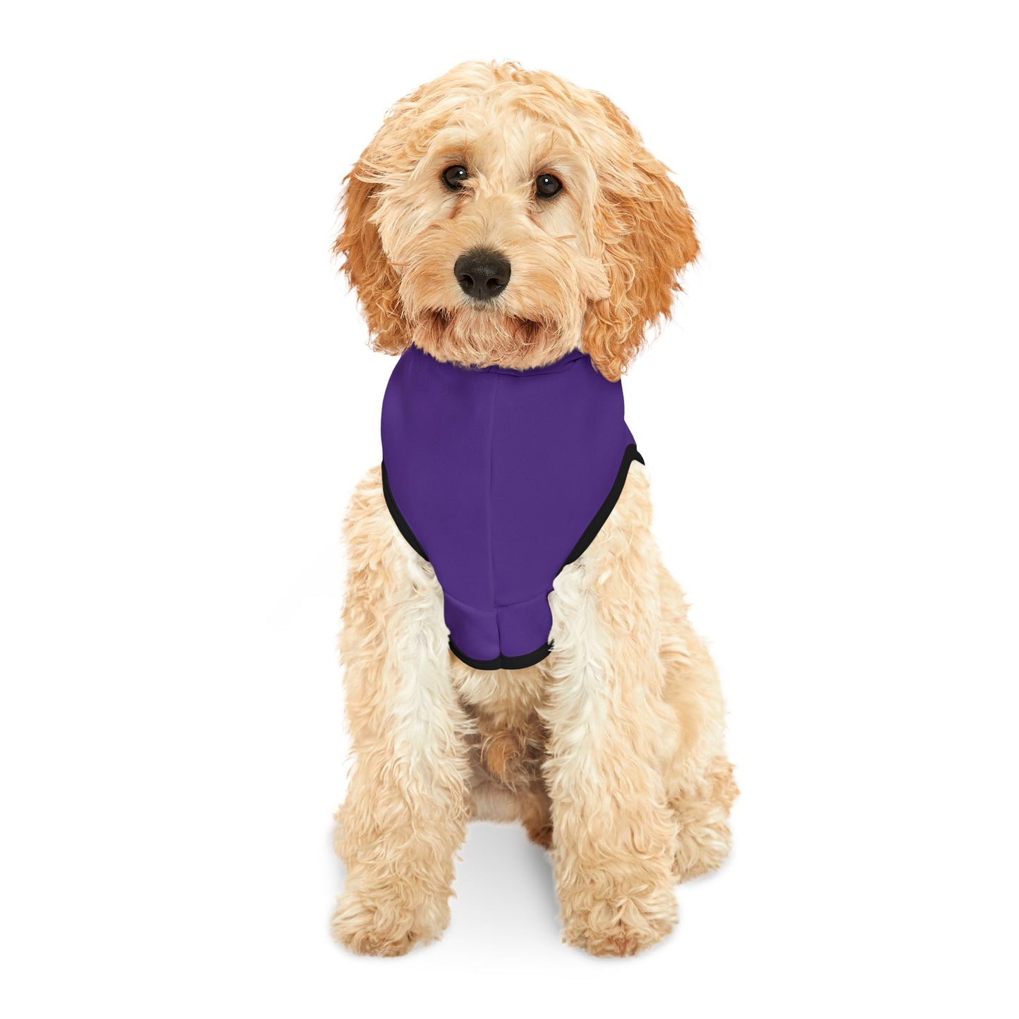CB04PE - Cyber Beach Pet Hoodie (Purple)