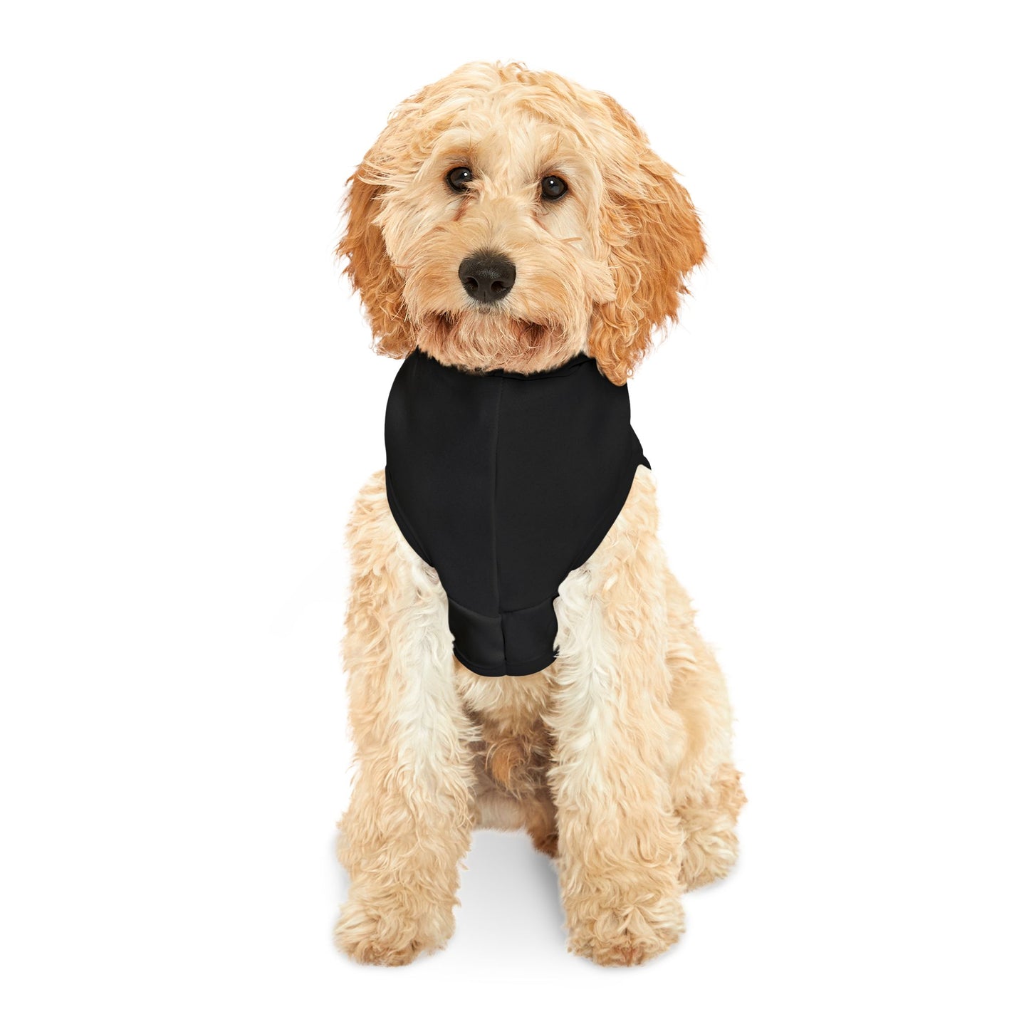 CB04BKOG - Cyber Beach Pet Hoodie (Black w/ Orange/Green Logo)