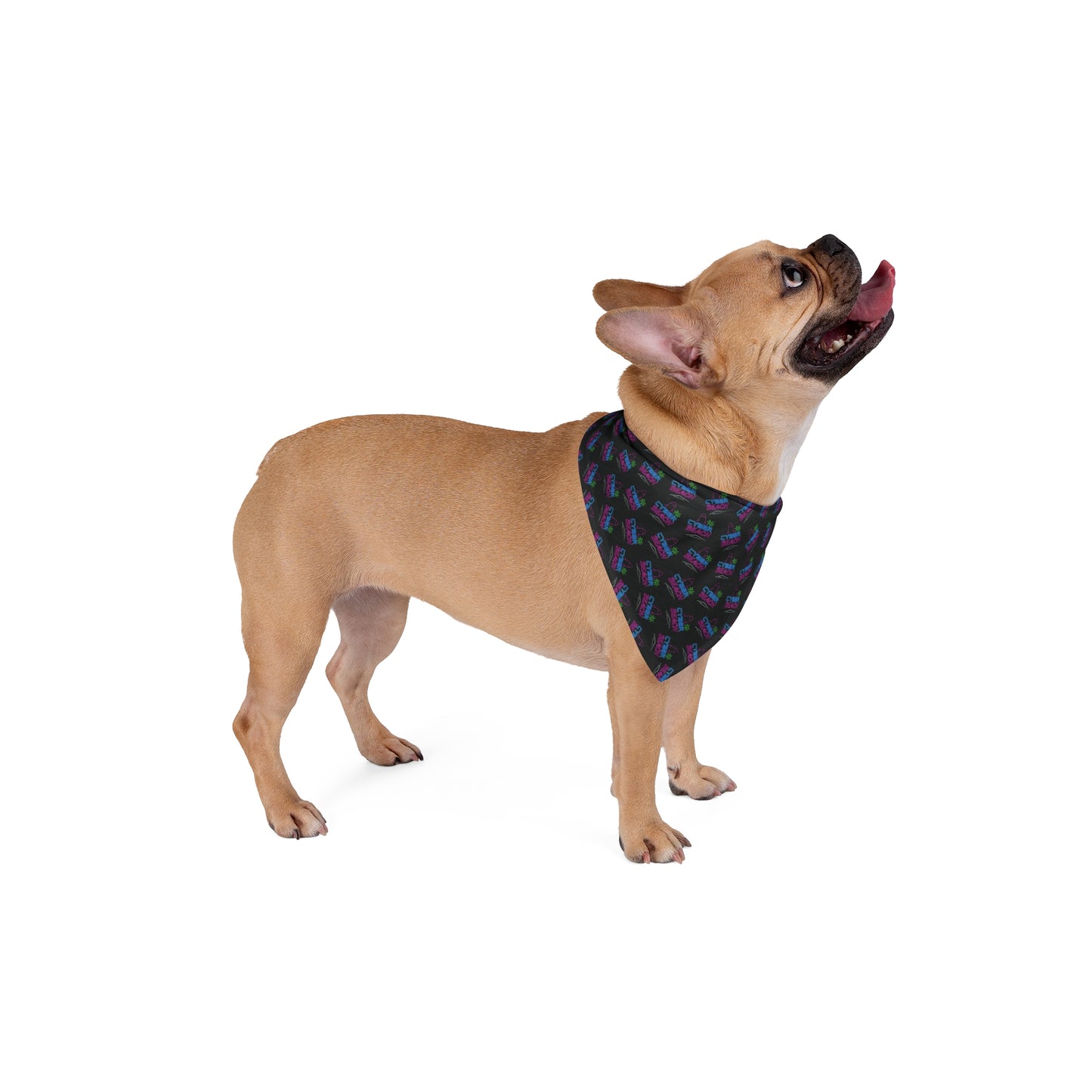 CB06BK - Cyber Beach Pet Bandana (Black)