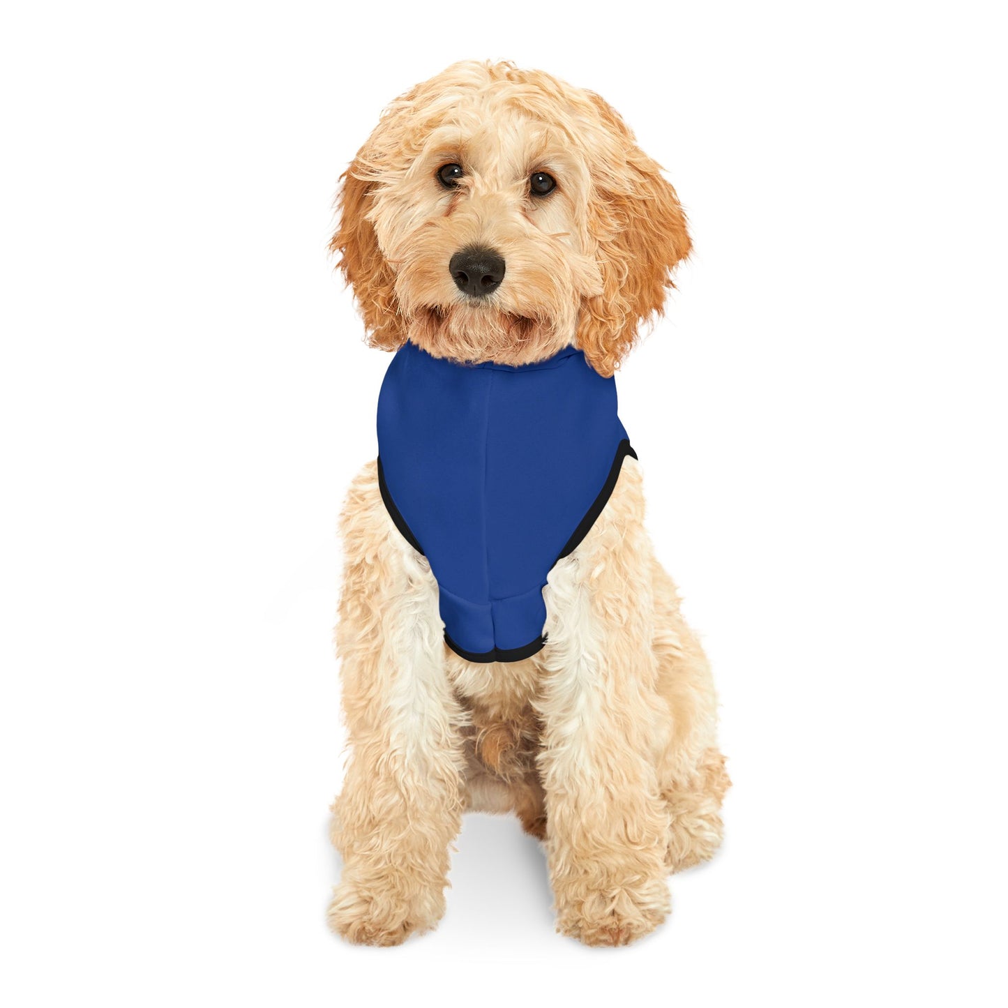 CB04BE - Cyber Beach Pet Hoodie (Blue)