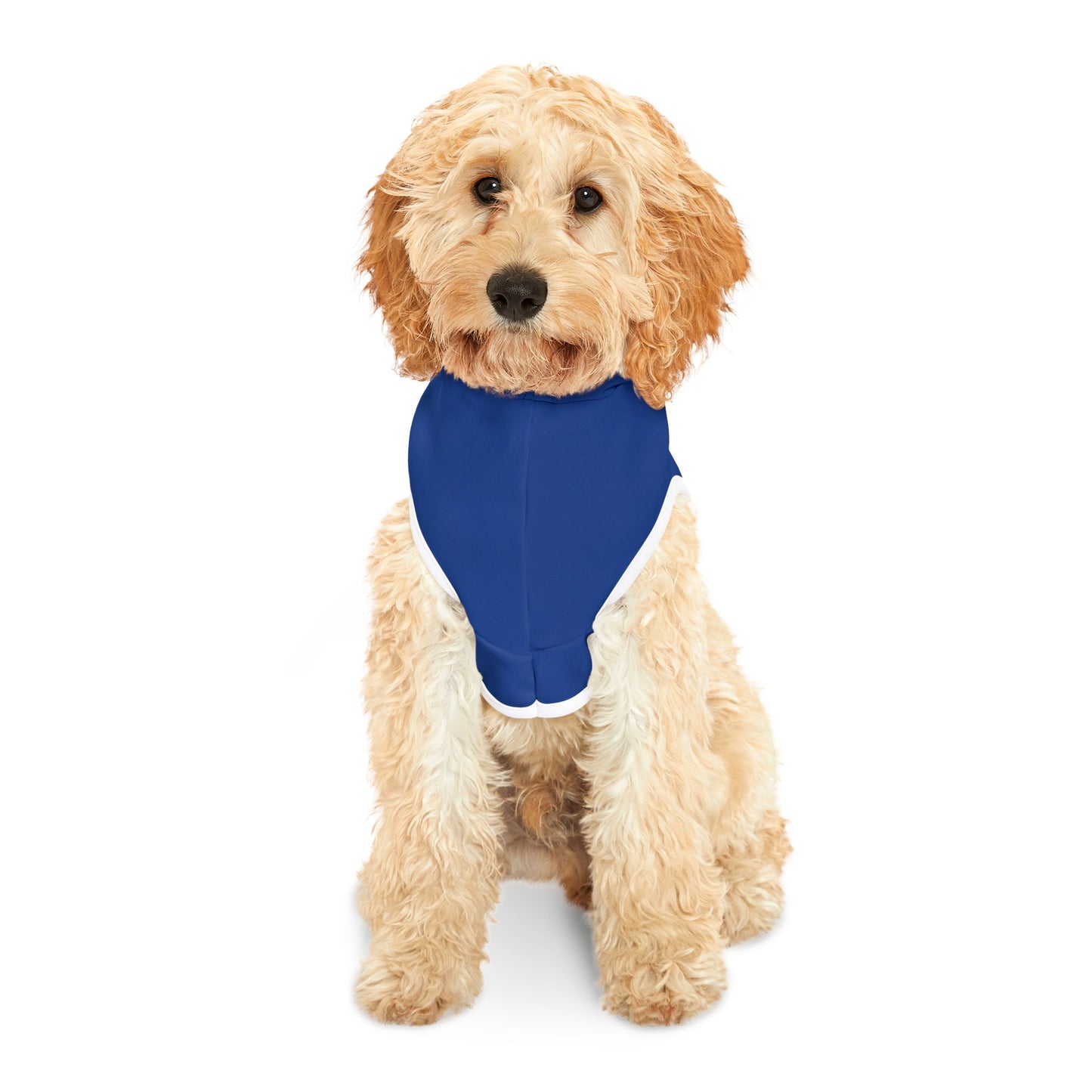 CB04BE - Cyber Beach Pet Hoodie (Blue)